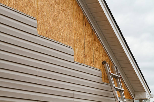 Best Custom Trim and Detailing for Siding  in Gibsonburg, OH